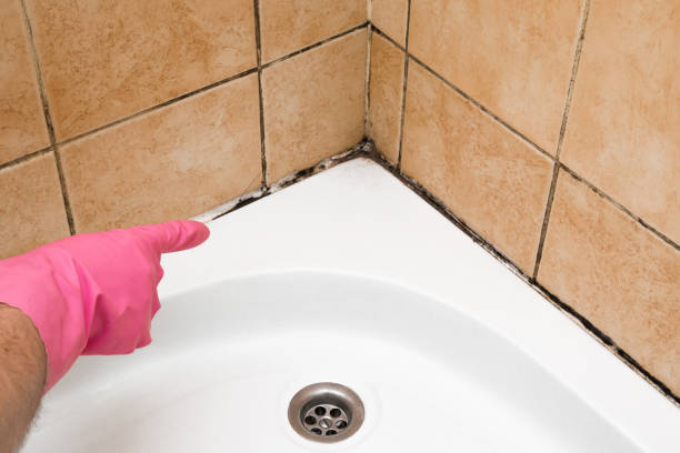 Best Mold Cleaning Services  in Waldron, AR